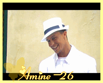 tes trop beau amine